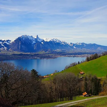 Swisshut Ringold